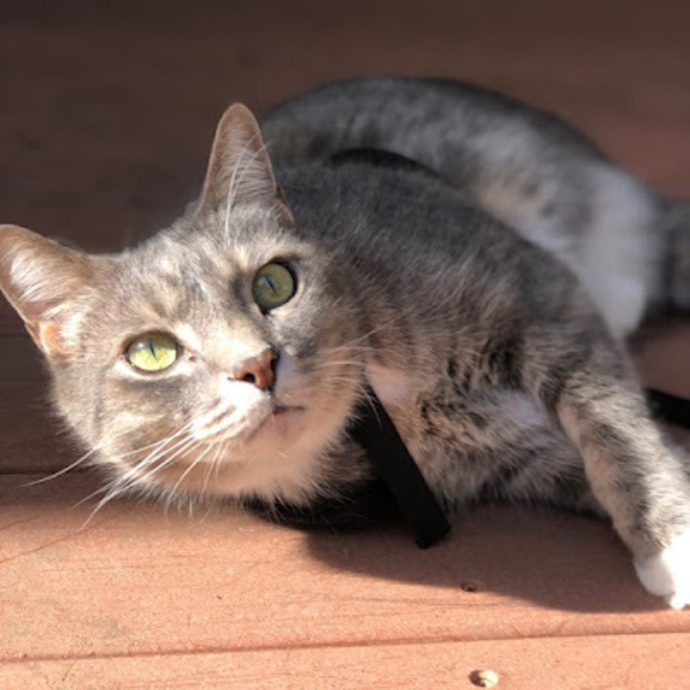 Meet your Posher, Brooke